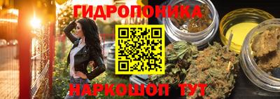 трава Донецк