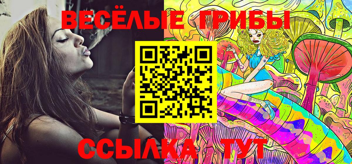 Тейково  Галлюциногенные грибы ЛСД  Вход с VPN 